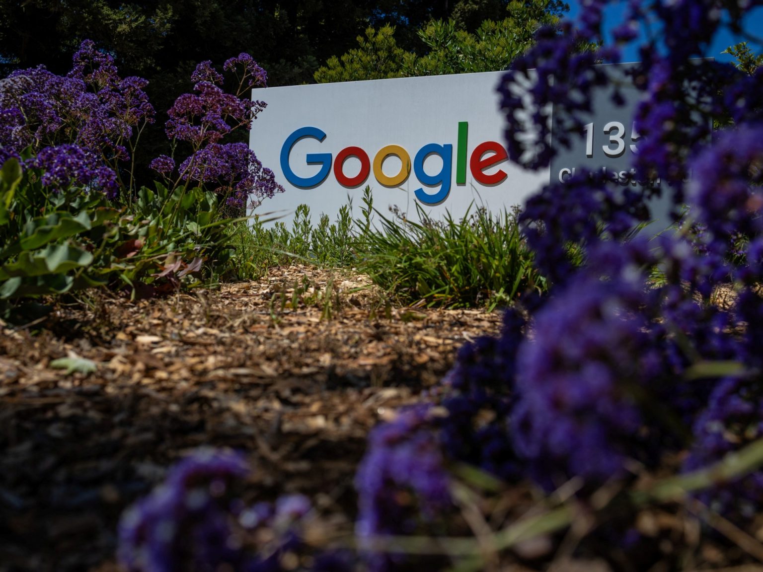 Conservative Activist Files Lawsuit Against Google Over AI-Generated Content