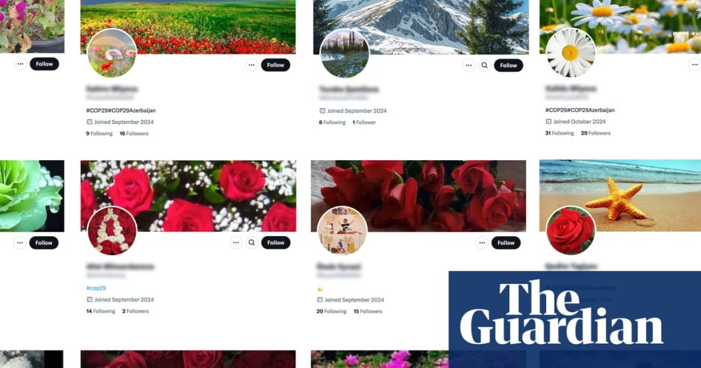 Suspected Fake Social Media Accounts Promote Azerbaijan Ahead of Cop29 Summit