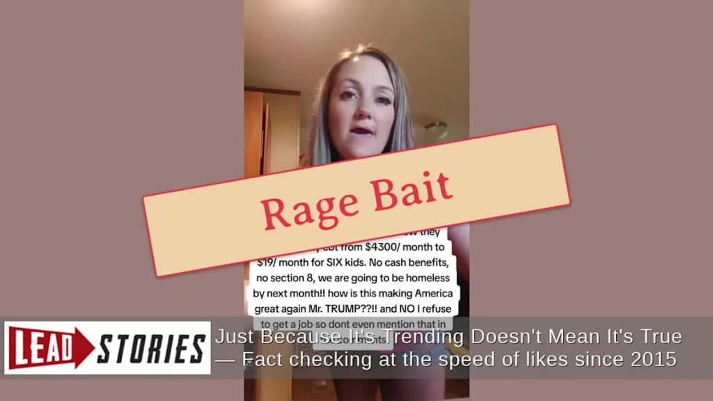Debunked: Viral Video Falsely Claims Mother of Six’s Benefits Slashed From $4,300 to $19