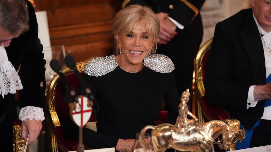 Daughter of French First Lady Rebuts False Claims