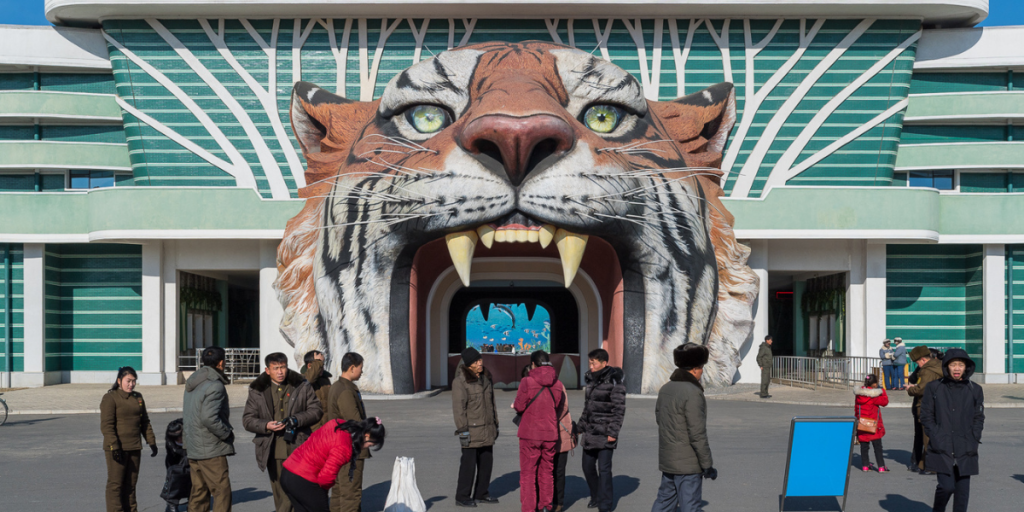 Controversial Zoo Conditions Raise Concerns About Animal Welfare and Public Perception