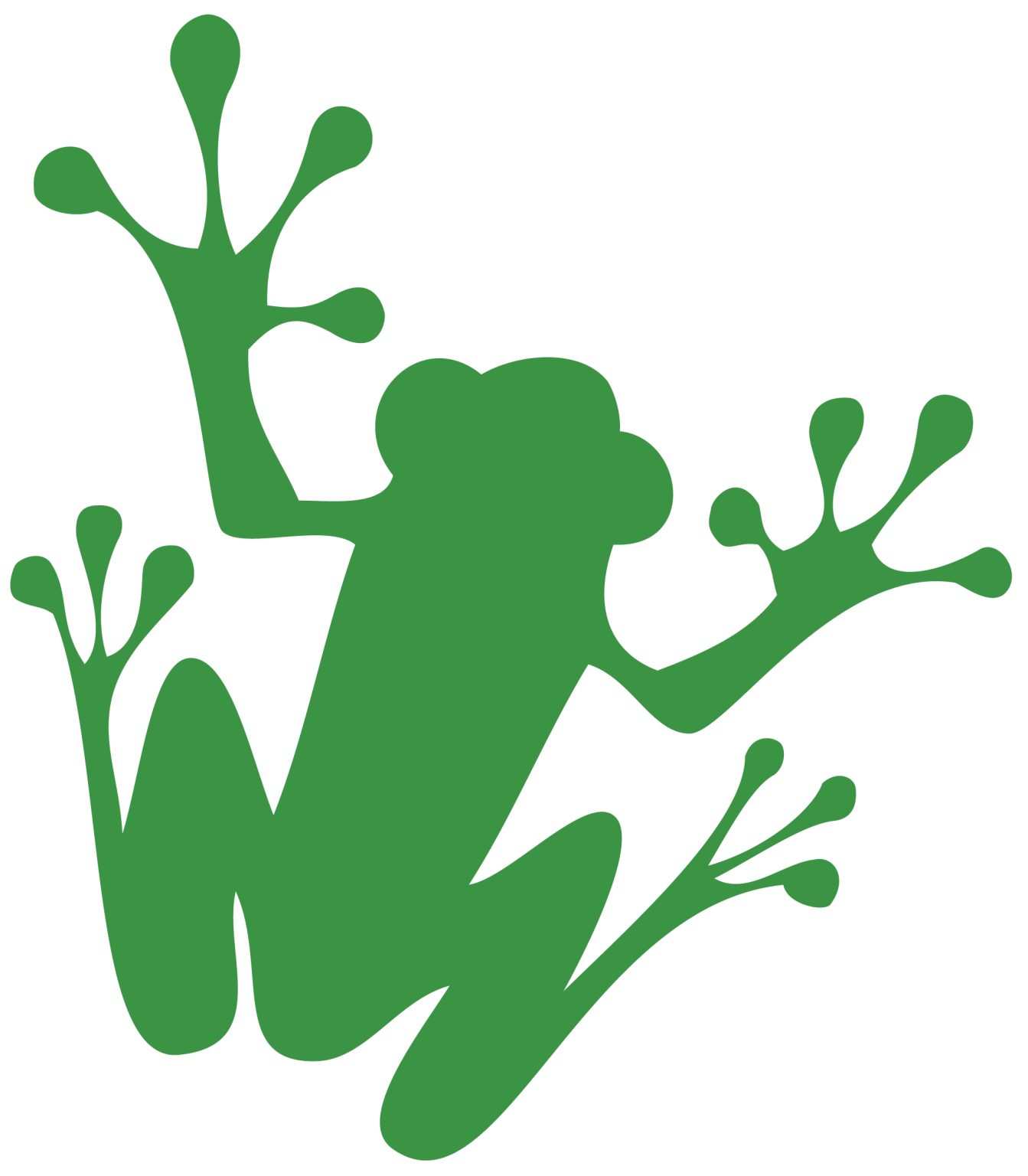 FSC to Vote on New Traceability Rules Amid False Claims Allegations