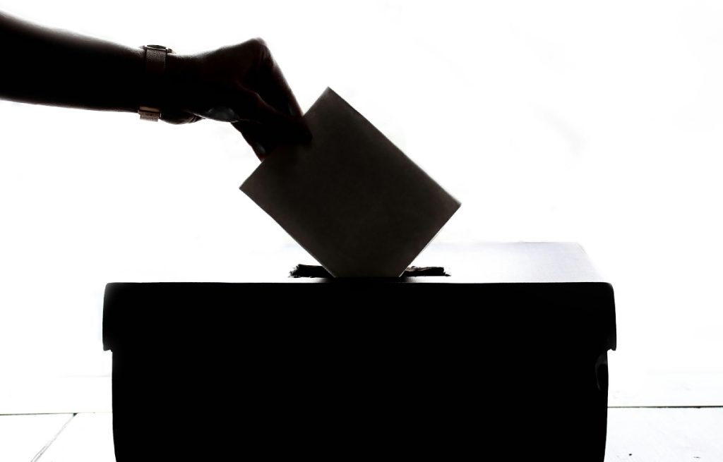 Combating Election Falsehoods in Southeast Asia: The Role of Algorithms and Political Agendas