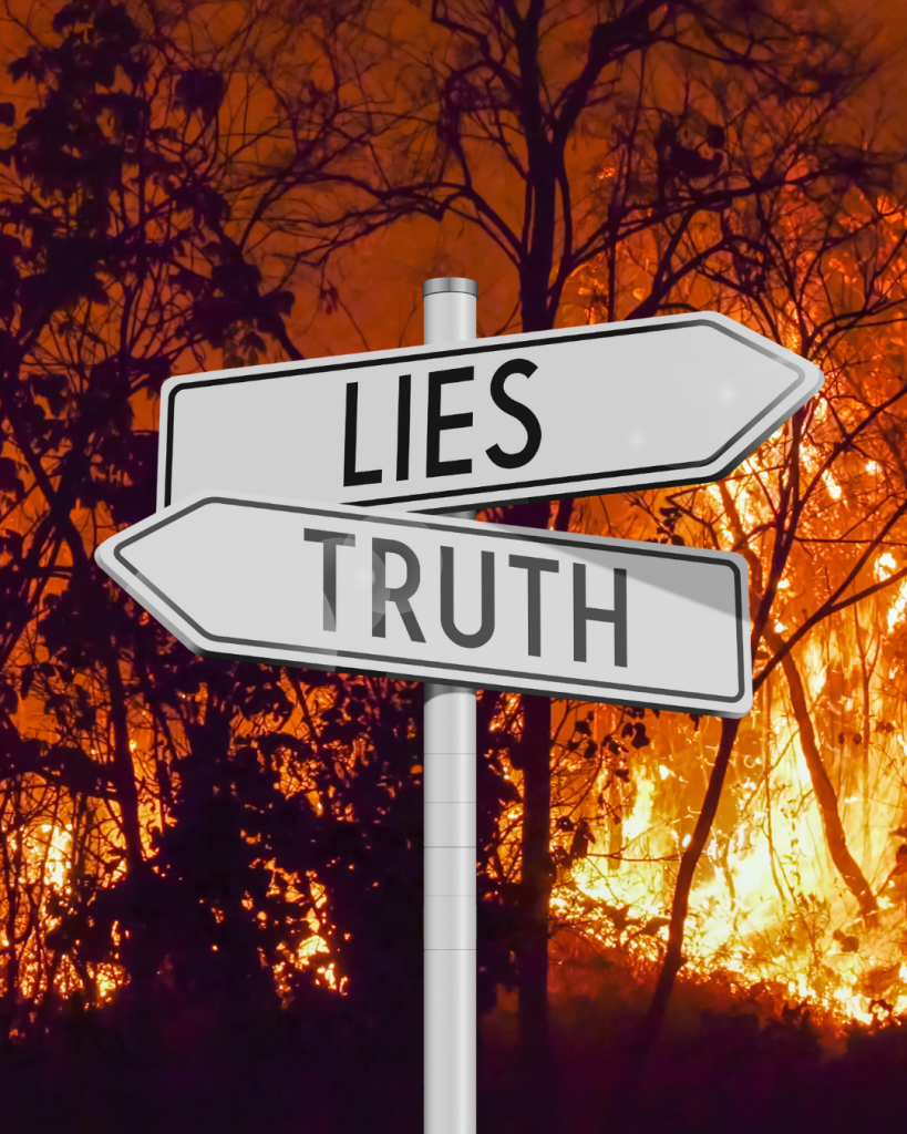 Climate Emergencies: Physicians and Civil Society Groups Warn of Health Risks from Online Misinformation