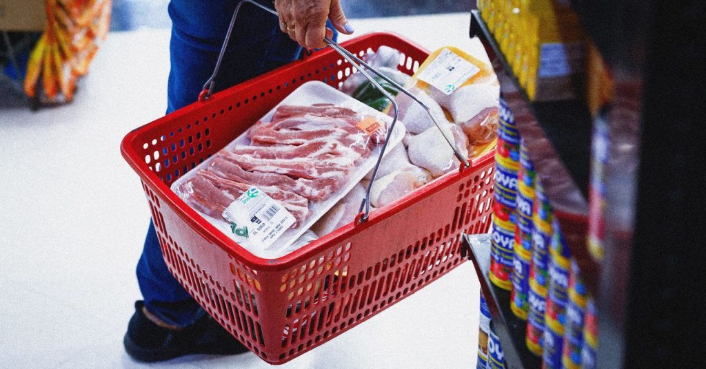 SNAP Benefits Not Primarily Utilized by Immigrant Population, Data Shows