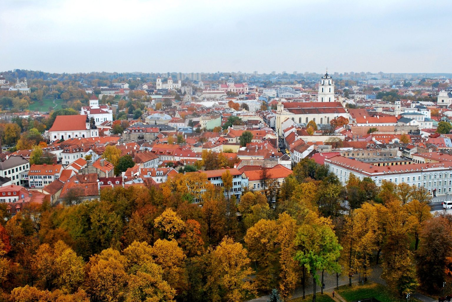 Disinformation Threatens Lithuania’s Political Landscape