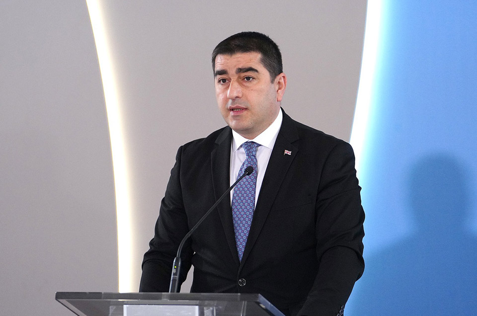 Georgian Parliament Speaker Claims Brussels Avoids Dialogue to Hide Truth Behind Disinformation