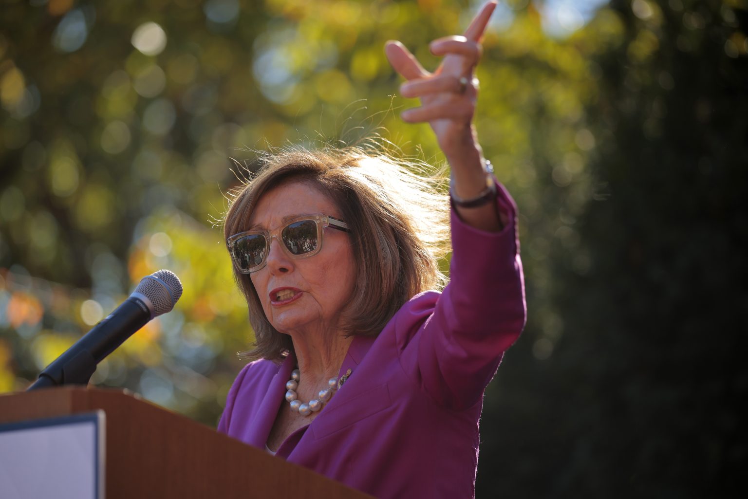 Momentum Builds for Term Limits Following Pelosi’s Retirement Announcement