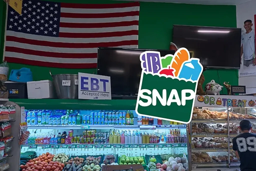 Fact Check: Examining Claims About SNAP Benefits for Undocumented Immigrants