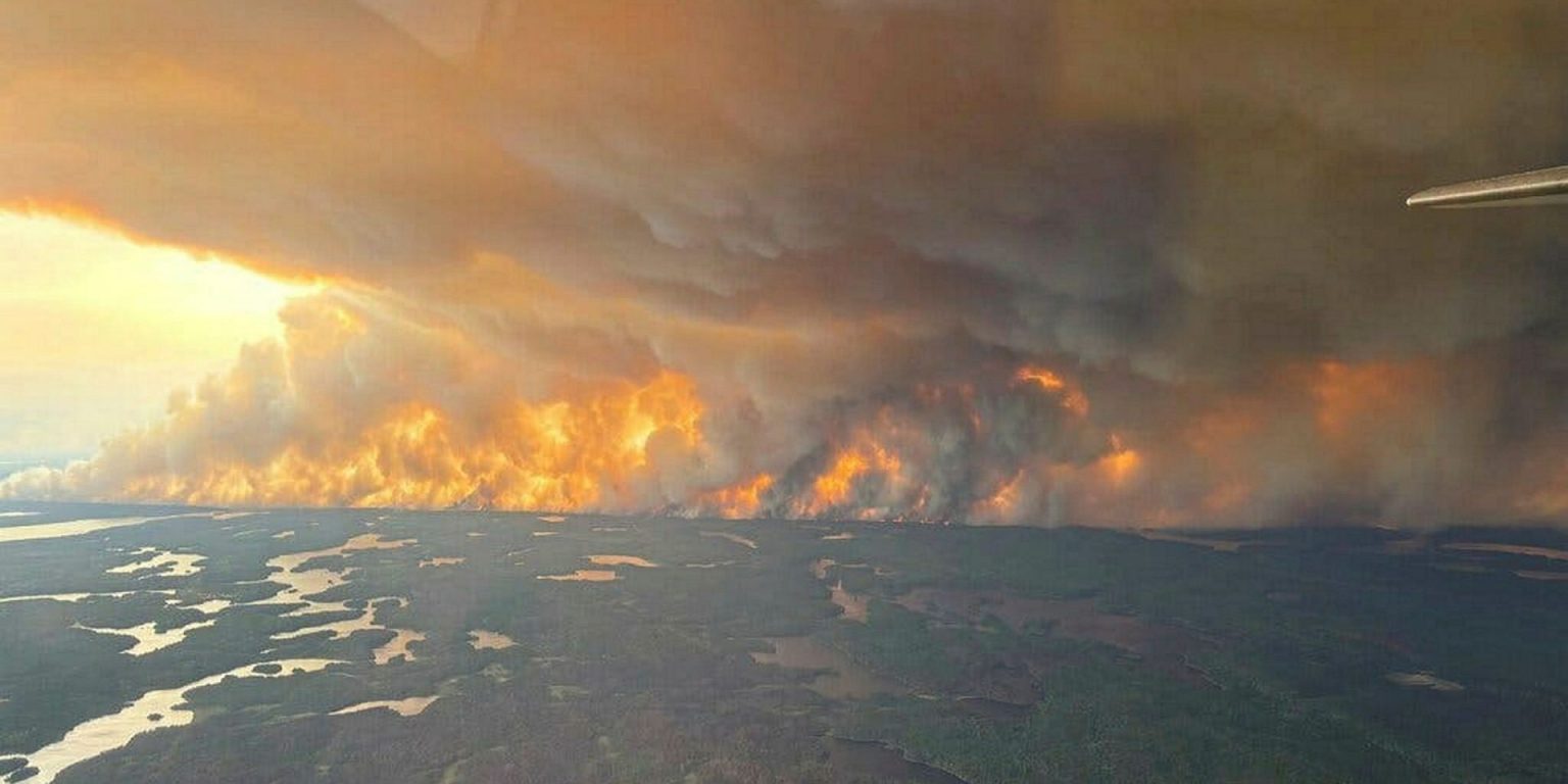 Climate Disinformation Emerges as Key Challenge at COP Summit