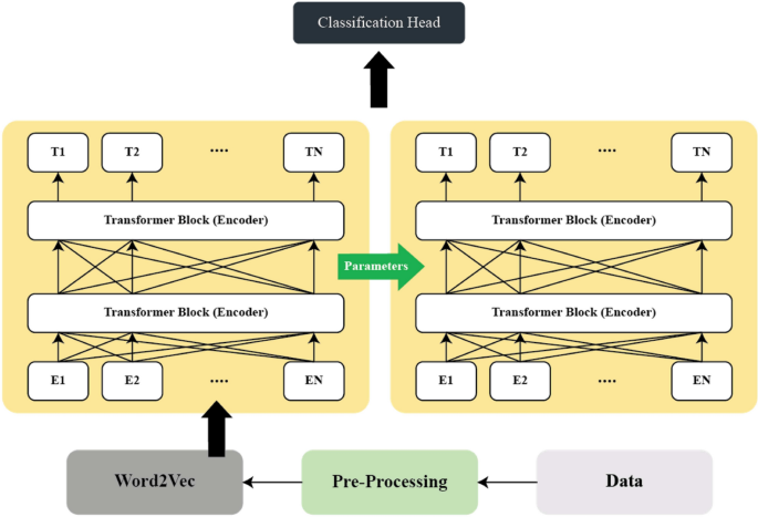 Transfer Learning Enhances Fake News Detection Using Large Language Models