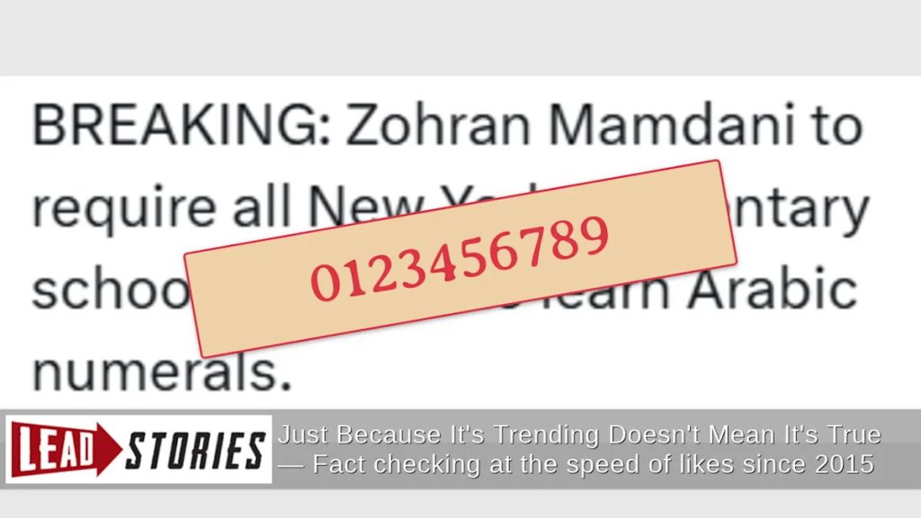 Arabic Numeral Jokes About Zohran Mamdani Revive Classic Humor Format