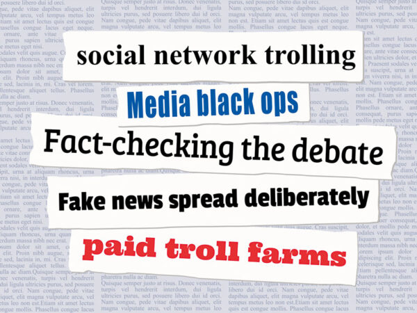 The Economic Impact of Misinformation on Businesses