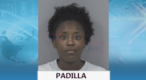 Johnston County Woman Faces Charges for Alleged Insurance Fraud