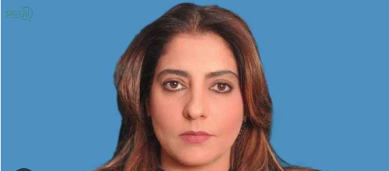 India’s Defense Minister Criticized for “False Propaganda” and “Dreams,” Says Palwasha Khan