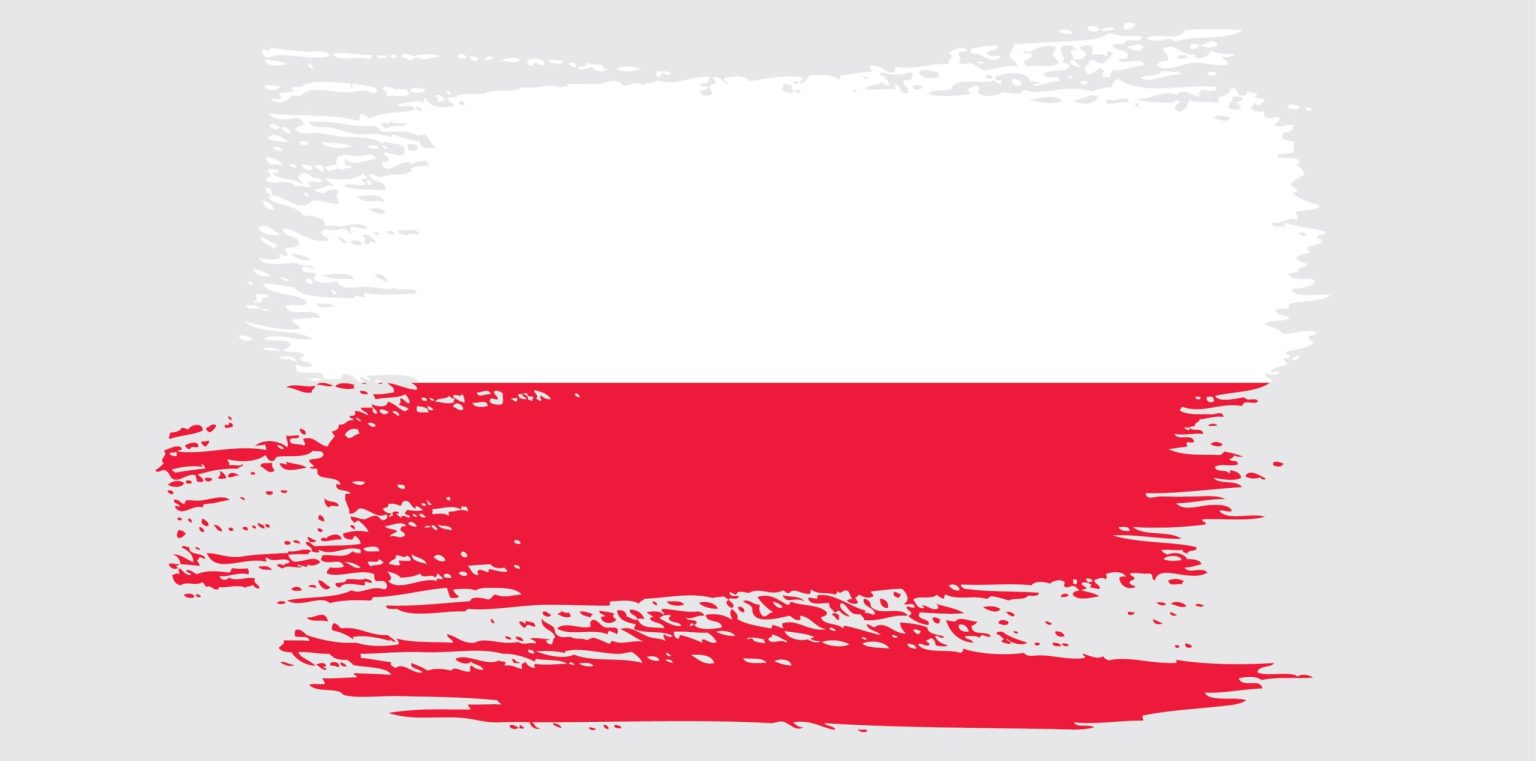 Examining Poland’s Disinformation Challenges: A Current Assessment