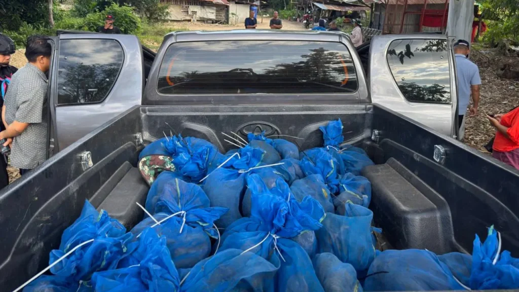 Two Men Arrested in Wildlife Smuggling Case Involving 81 Monkeys and Methamphetamine