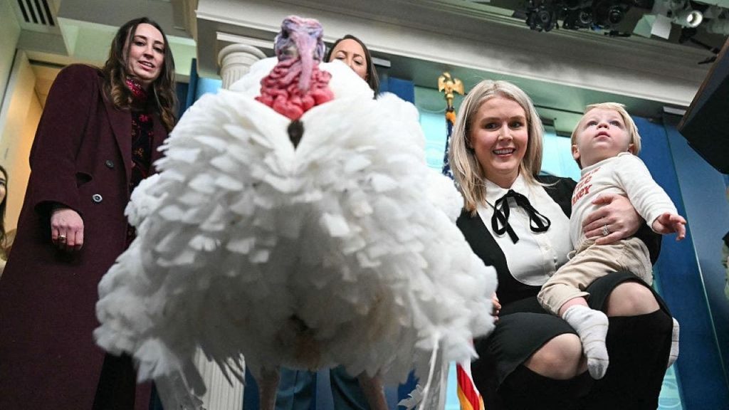 Turkey “Waddle” Takes Press Briefing Questions Before Presidential Pardon