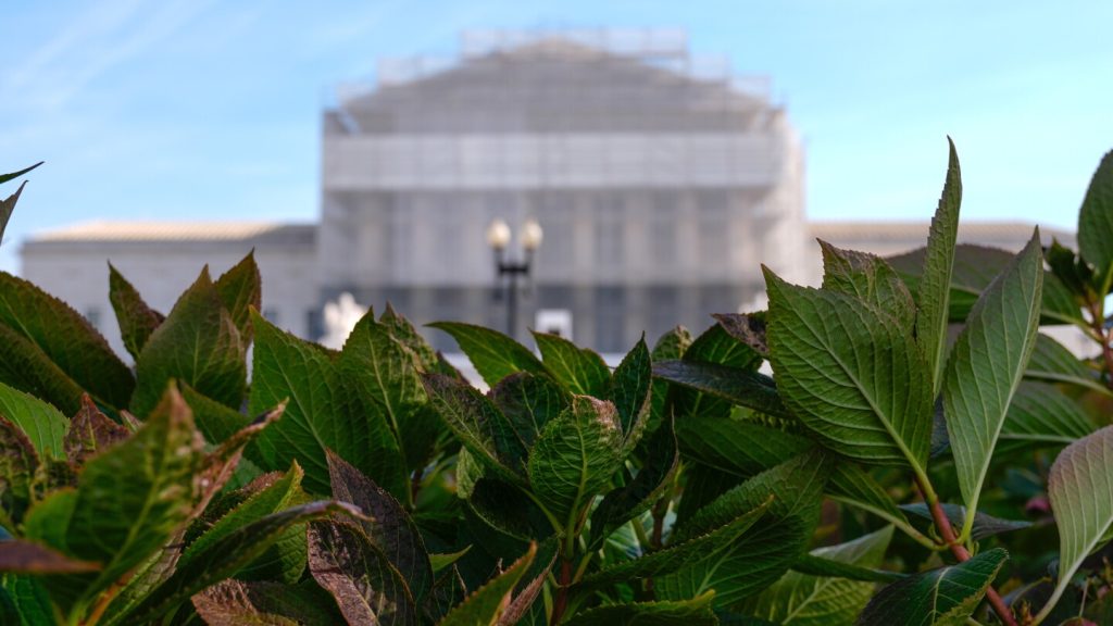 Louisiana prison guards cut a Rastafari inmate’s dreadlocks. Supreme Court will decide if he can sue