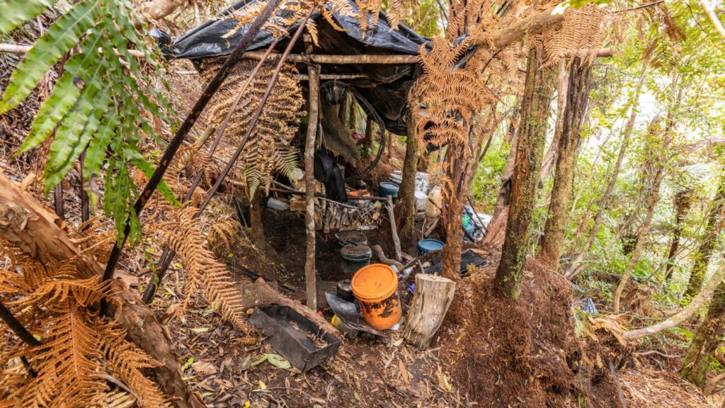 New Zealand launches major inquiry into case of father who hid his children in a forest for years