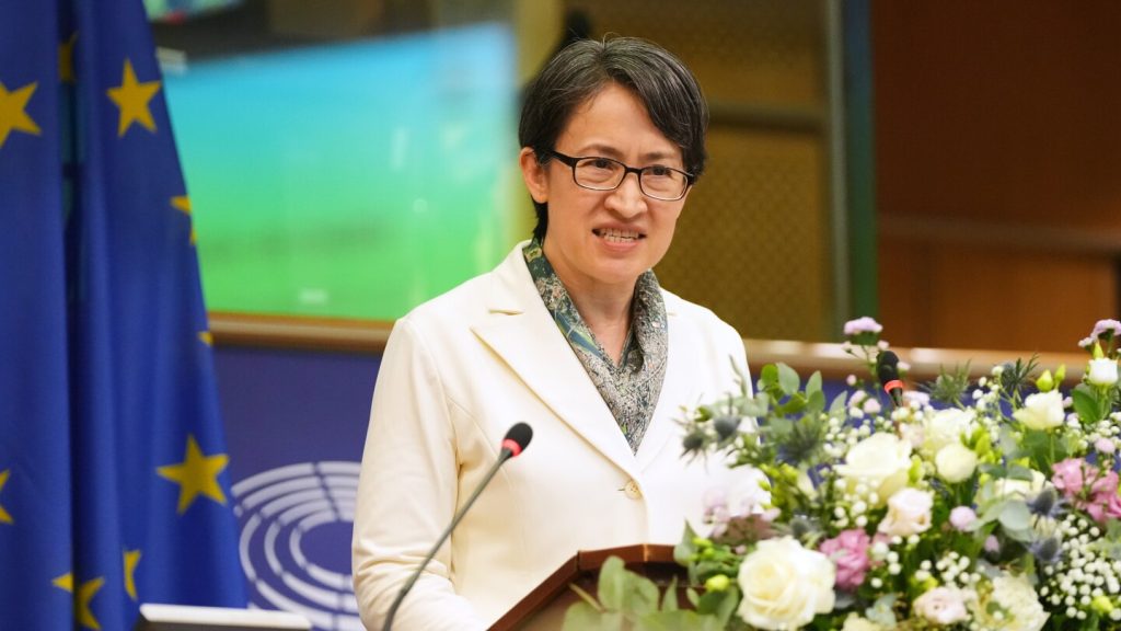 Taiwan’s vice president calls for closer EU ties in rare address to international lawmakers