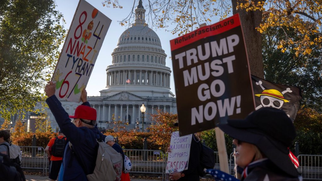 Democratic electoral wins re-energize protesters at an anti-Trump rally in nation’s capital