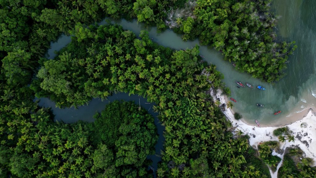 Brazil stumps up billions of dollars for its ambitious rainforest fund at UN climate summit
