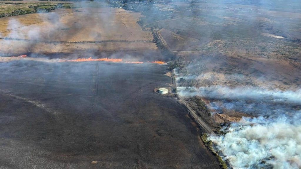 States sue Trump administration over restrictions put on FEMA emergency grants