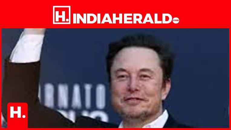 Identifying Authentic vs. Fraudulent Accounts: A Guide