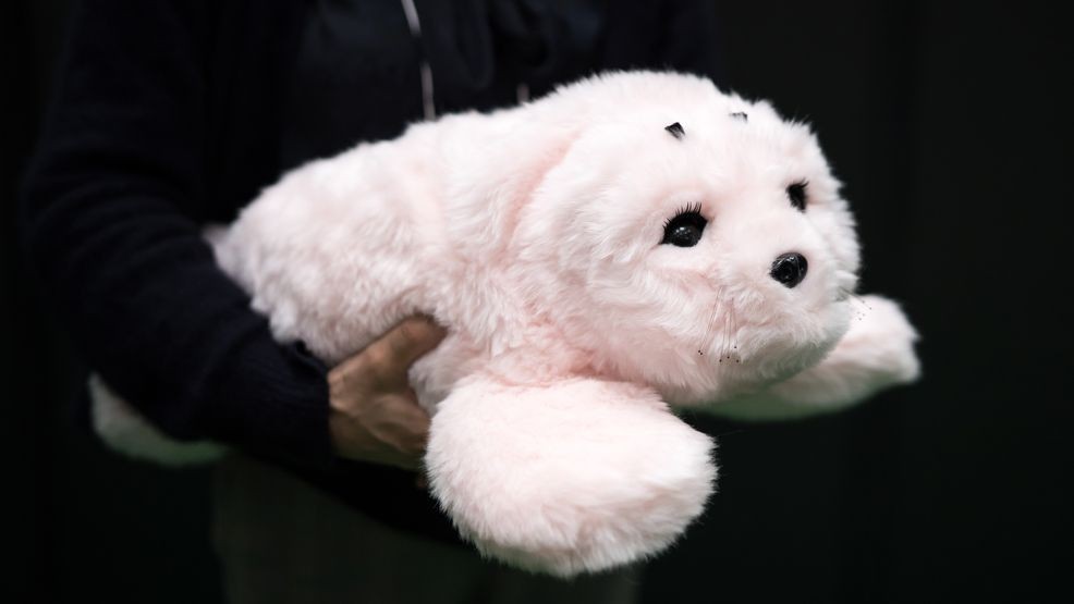 Privacy Concerns Mount as US Officials Call for Action on Data Risks from AI Toys