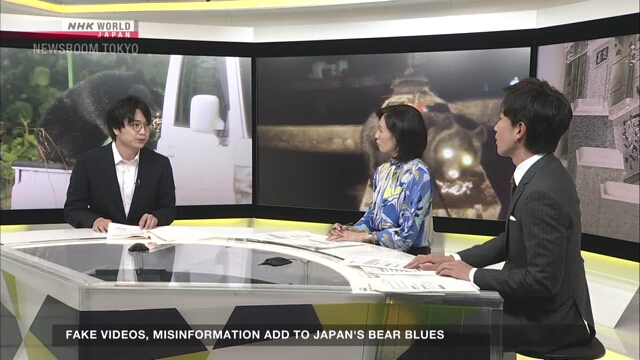 AI videos, misinformation compound Japan’s bear crisis