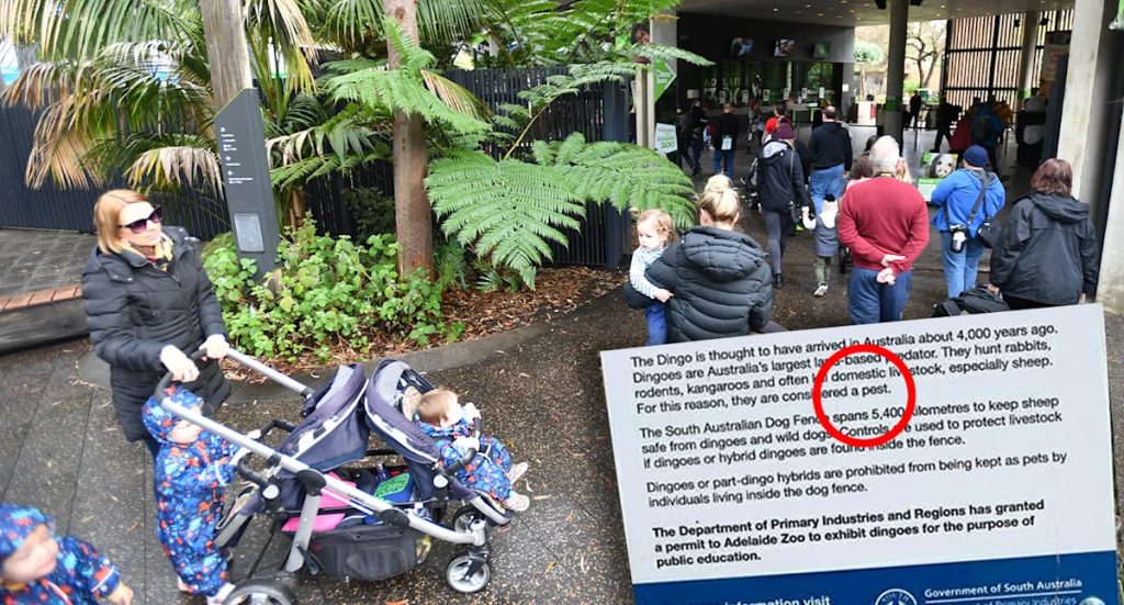 Zoo’s Warning Sign About Iconic Australian Animal Sparks Controversy