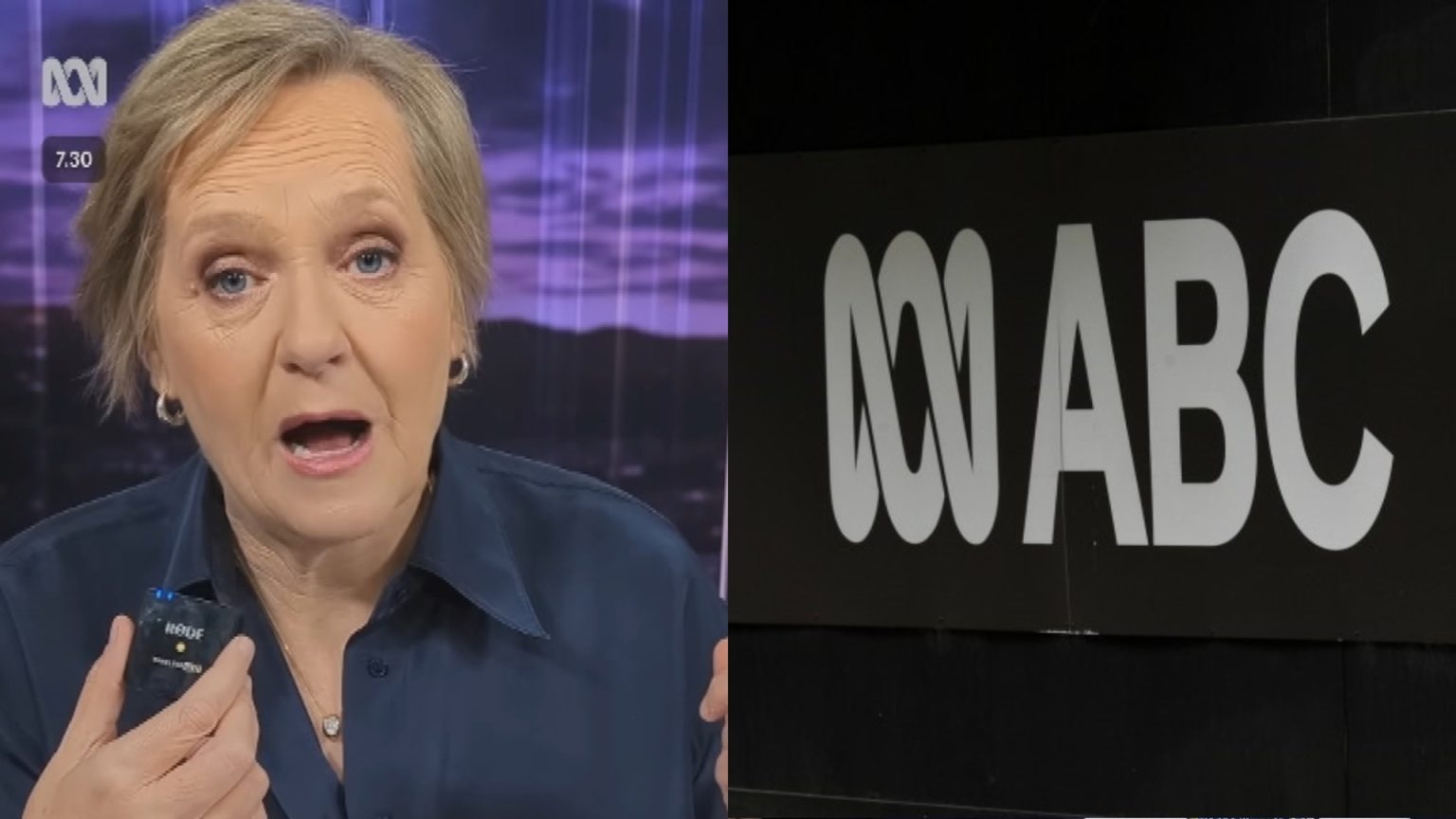 ABC’s Sarah Ferguson Criticized for Fact-Checking Opposition Leader on Power Prices