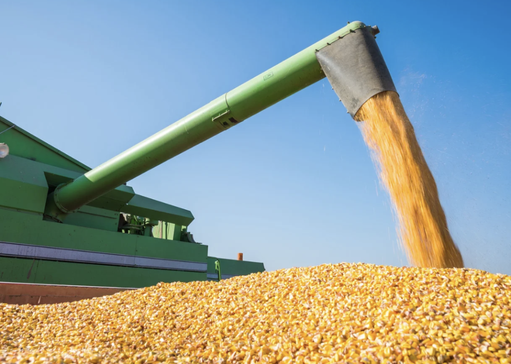US Crop Yield Decline Claims Largely Unfounded, Analysis Shows