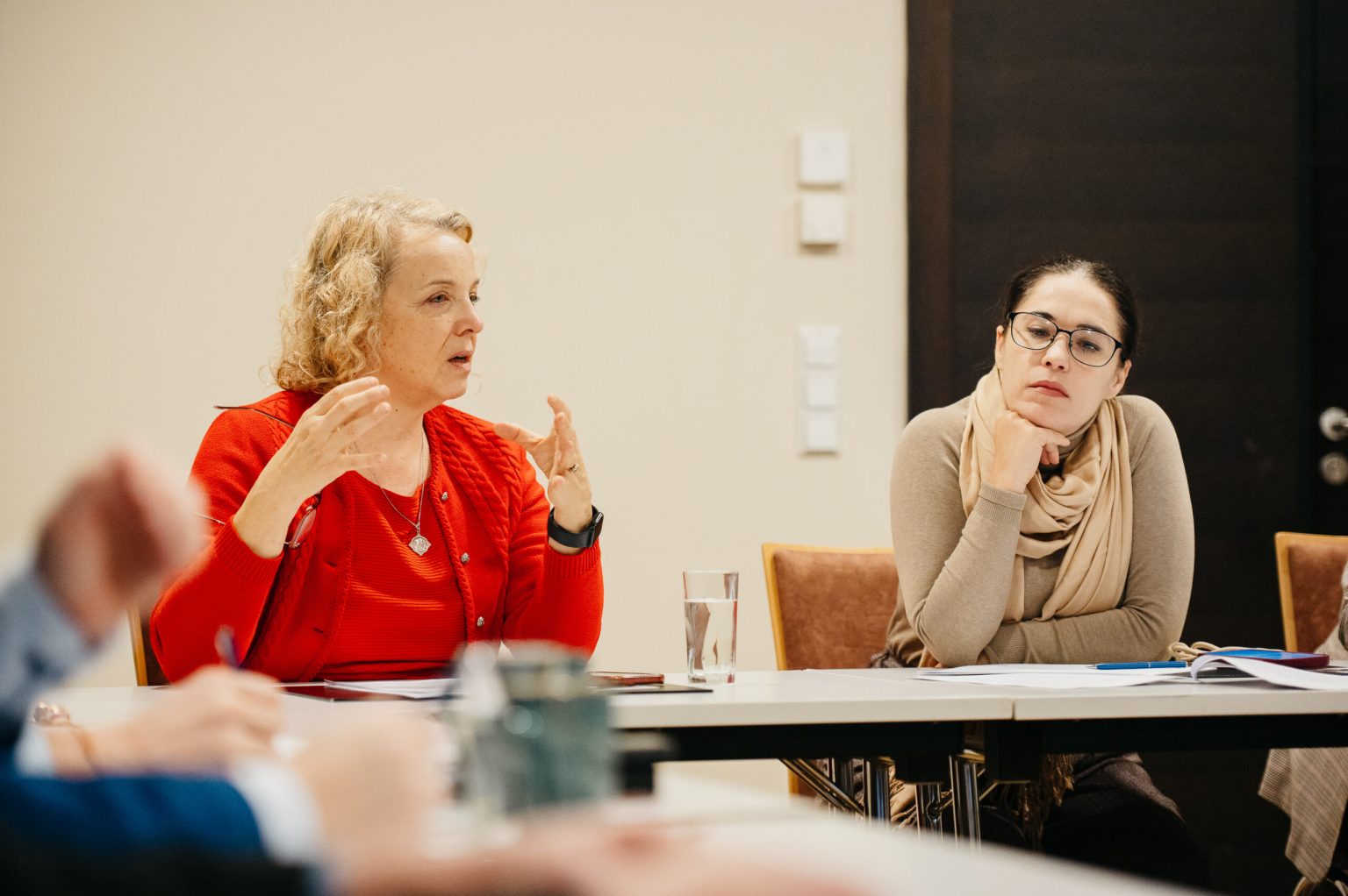 Promise and Pitfalls: Examining Challenges and Opportunities in Visegrad Region