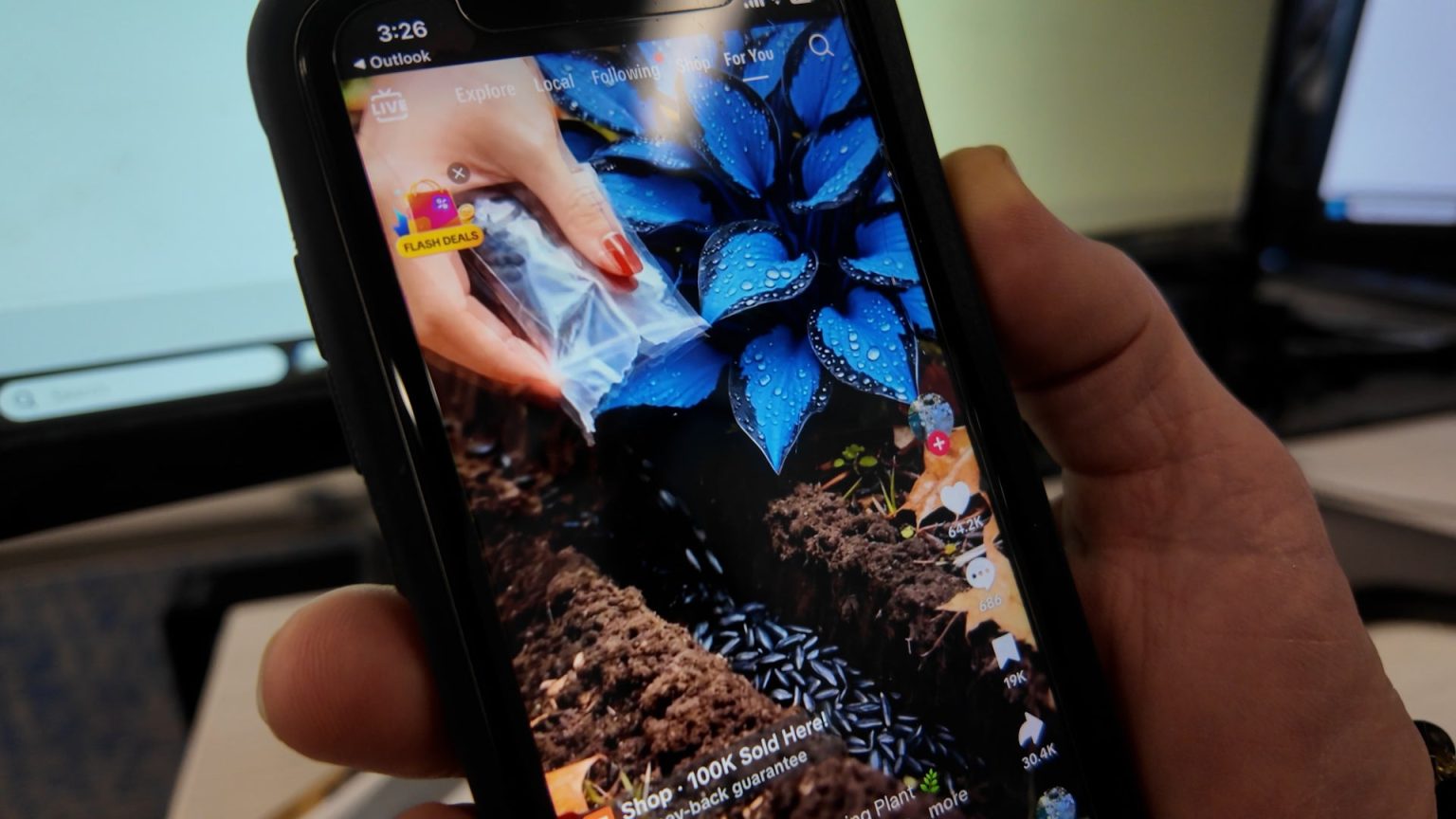 Fact Check: Experts Warn Against Fraudulent Exotic Hosta Seeds Sold Online