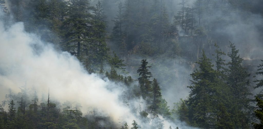 AI-Generated Misinformation Disrupts Emergency Response Efforts, Study Finds