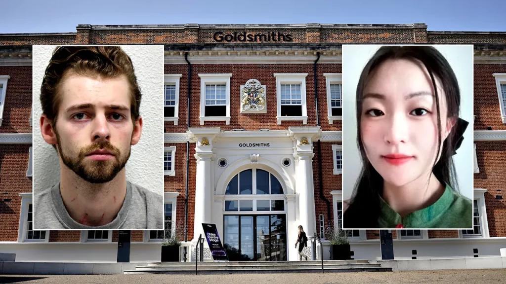 Chicago Man Found Guilty of Murdering UK Woman After Stabbing and Choking Her