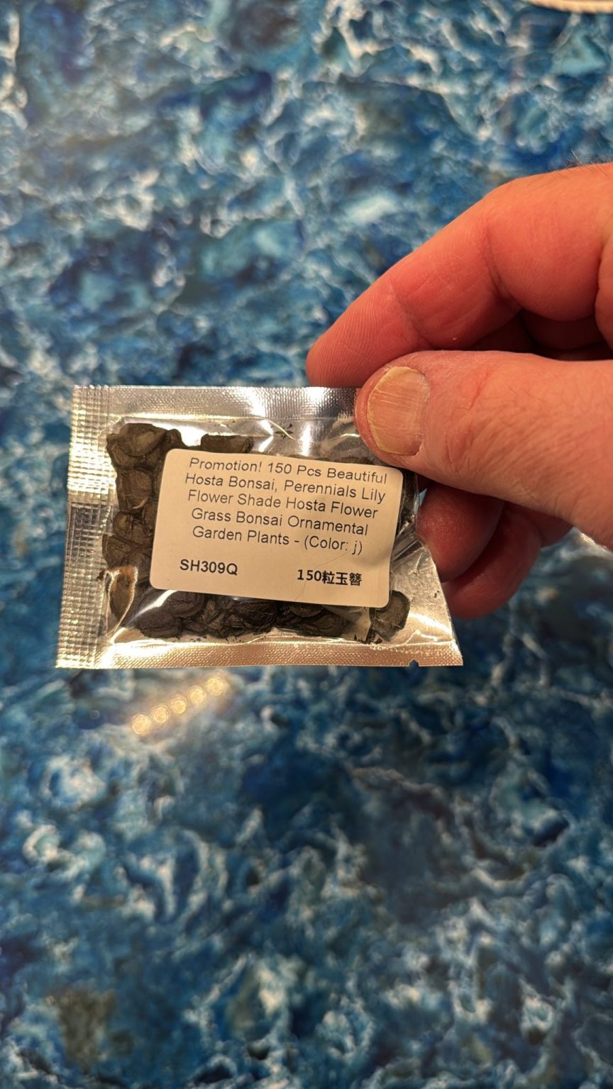 Man Discovers ‘Suspicious’ Seeds Yield Plants Unlike Expected Hostas