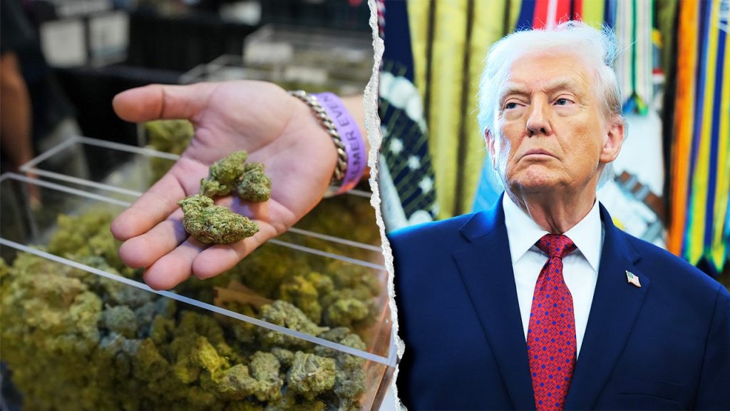House Republicans Urge Trump to Reconsider Planned Marijuana Executive Order