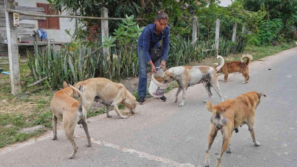 Thai villagers stay behind to guard empty homes as border clashes force mass evacuations