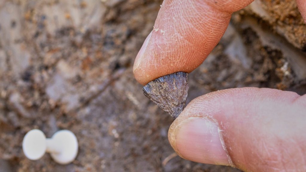 Study finds humans were making fire 400,000 years ago, far earlier than once thought