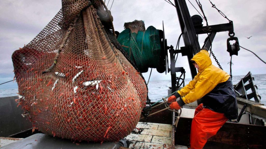 New England’s shrimp fishery to shut down for the long haul after years of decline