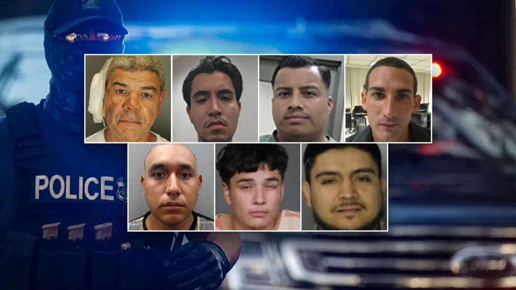 Authorities Apprehend Ten Most Dangerous Undocumented Immigrants in 2025