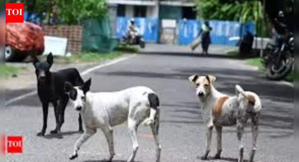 Delhi Police Investigates False Information About Teachers Counting Stray Animals