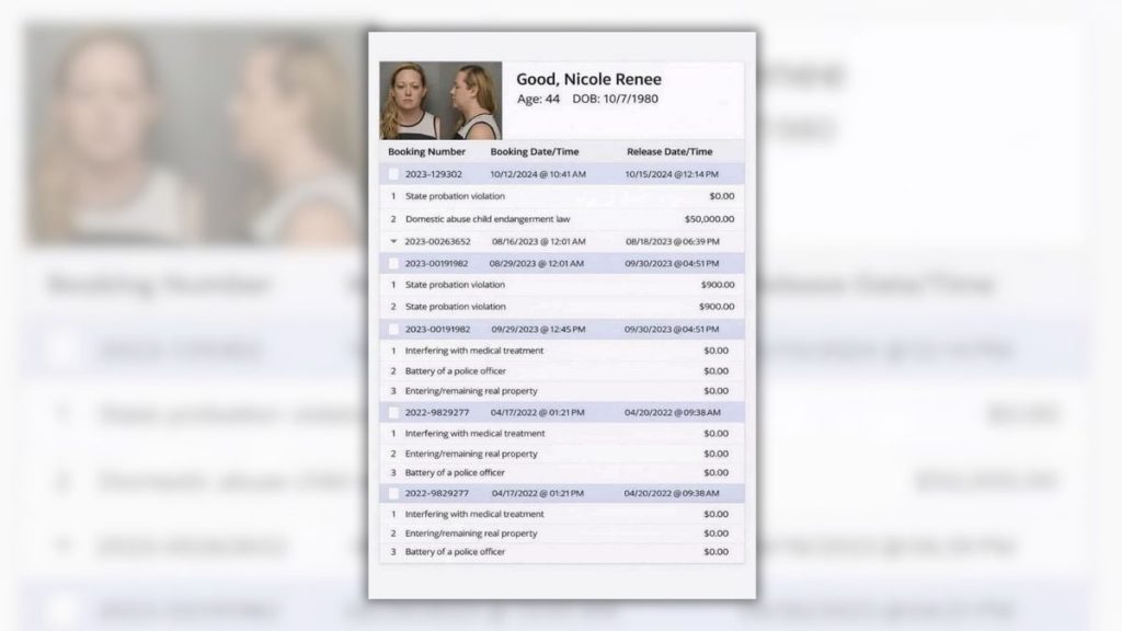 Fact Check: Misleading Image Circulates Claiming to Show Renee Good’s Criminal Record