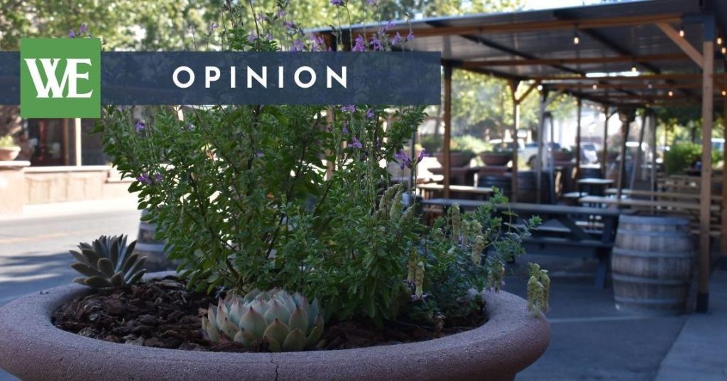 Promoting Healthy Debate While Combating Misinformation