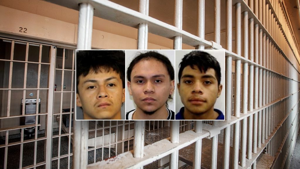 Immigration Authorities Seek to Detain Three Suspected MS-13 Members in Teen Murder Case