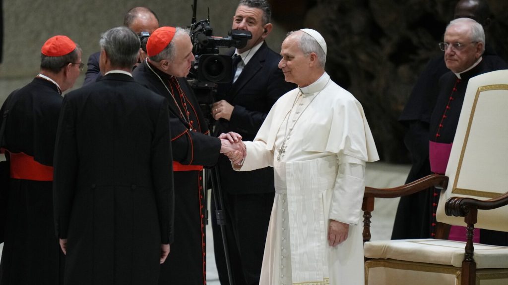 Pope convenes cardinals and asks their priorities for 2 years, with Latin Mass off the agenda