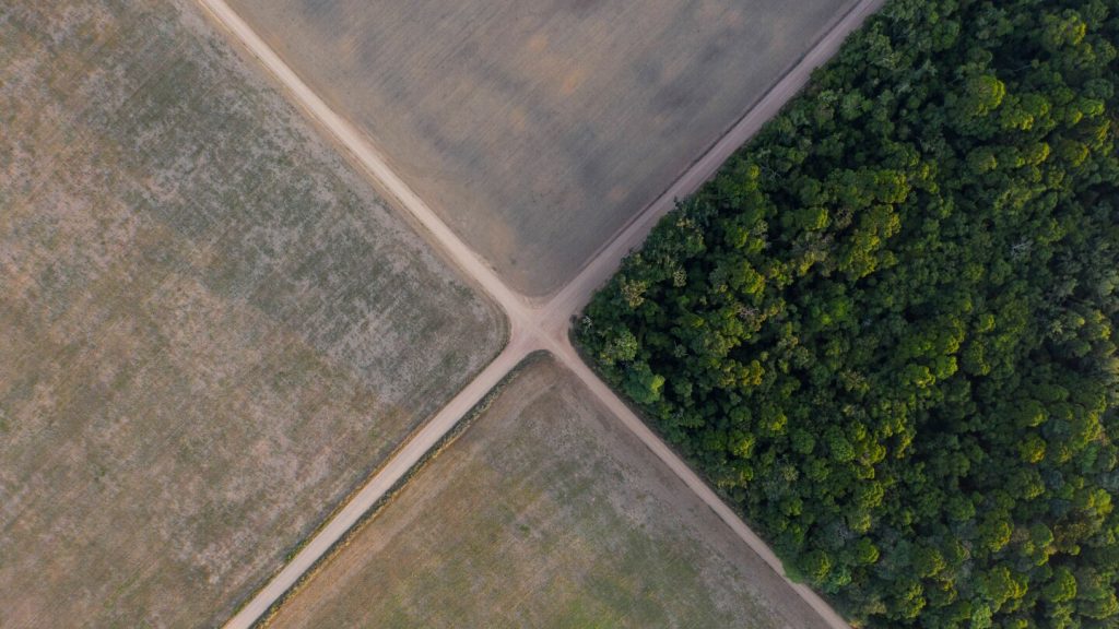 Brazil soy industry’s exit from moratorium on using Amazon land could spur deforestation
